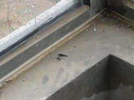 Wall waterproofing