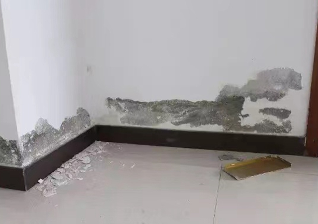 Building engineering. Concrete peeling repair