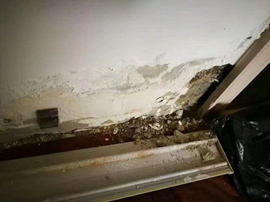 Kitchen and bathroom leak repair